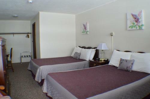 Hillwinds Lodge Franconia Ngoại thất bức ảnh